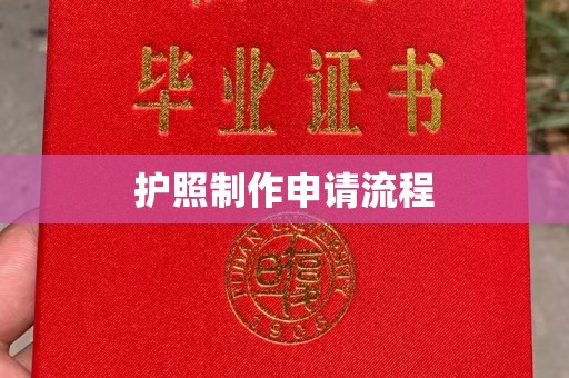 津市护照制作申请流程
